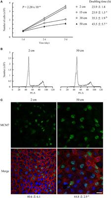 Modest Static Pressure Suppresses Columnar Epithelial Cell Growth in Association with Cell Shape and Cytoskeletal Modifications